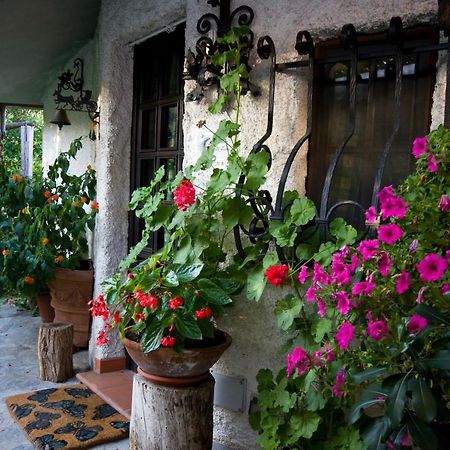 Case Vacanza La Ventura Massarosa Dış mekan fotoğraf