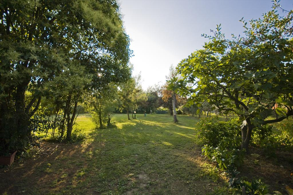 Case Vacanza La Ventura Massarosa Dış mekan fotoğraf