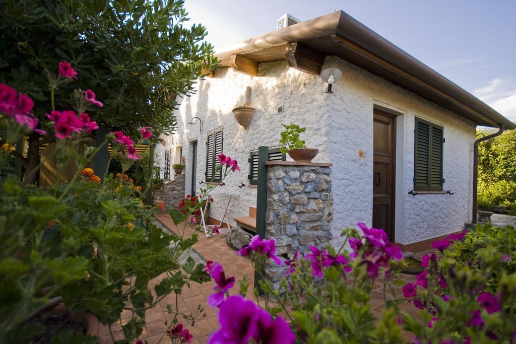 Case Vacanza La Ventura Massarosa Dış mekan fotoğraf